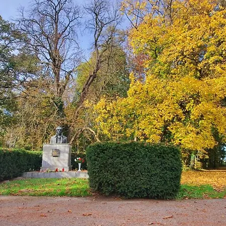 Mankowski Brodnica Palace Homestay *