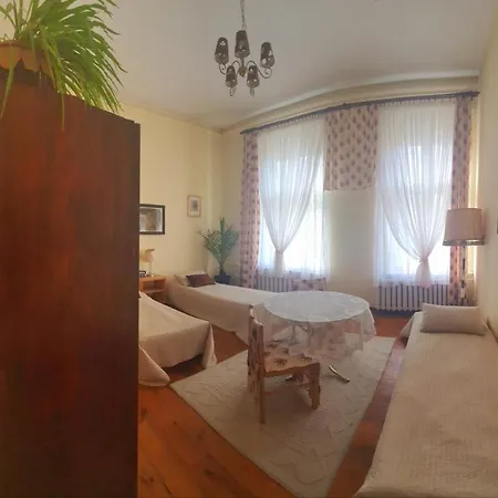 Mankowski Brodnica Palace Homestay