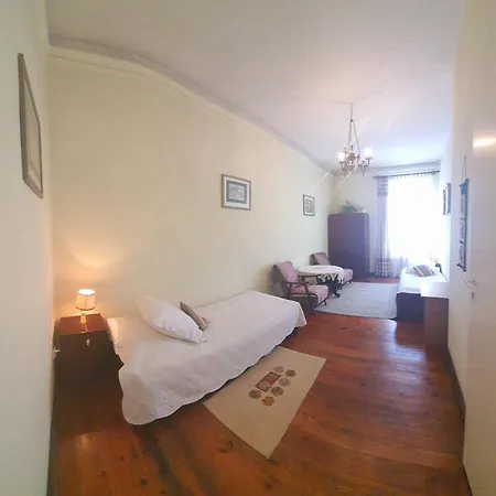 Mankowski Brodnica Palace Homestay Brodnica (Srem)