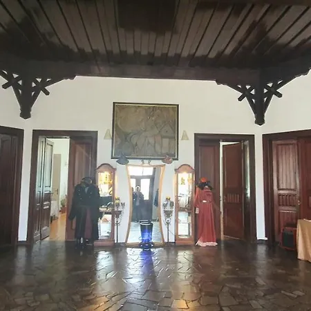 Mankowski Brodnica Palace Brodnica (Srem)